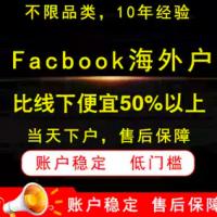 FB脸书facebook广告海外企业账户代投开户+充值+代运营