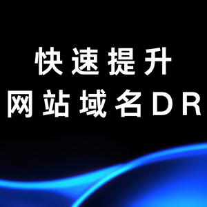 提升网站的DR，保证永久提升