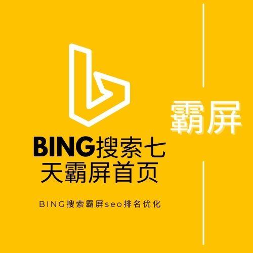 必应Bing搜索霸屏SEO七天上首页